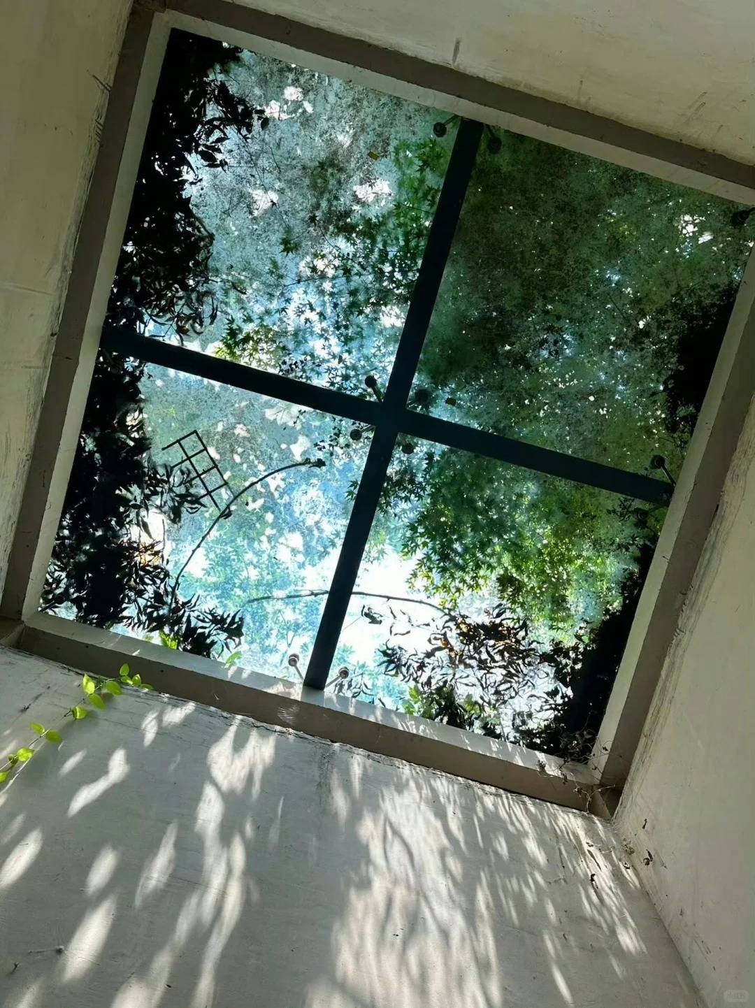 孤斗