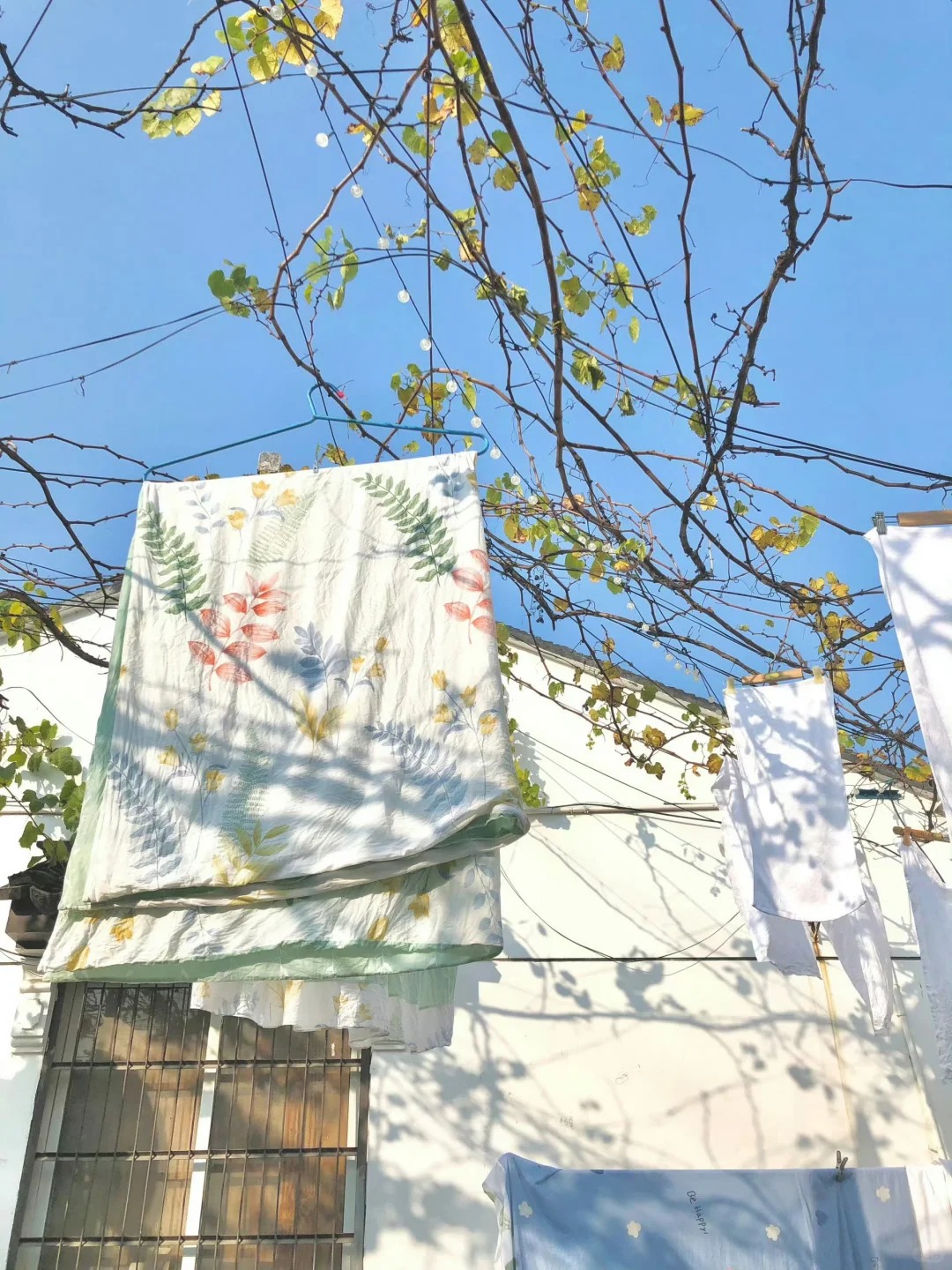 森木志